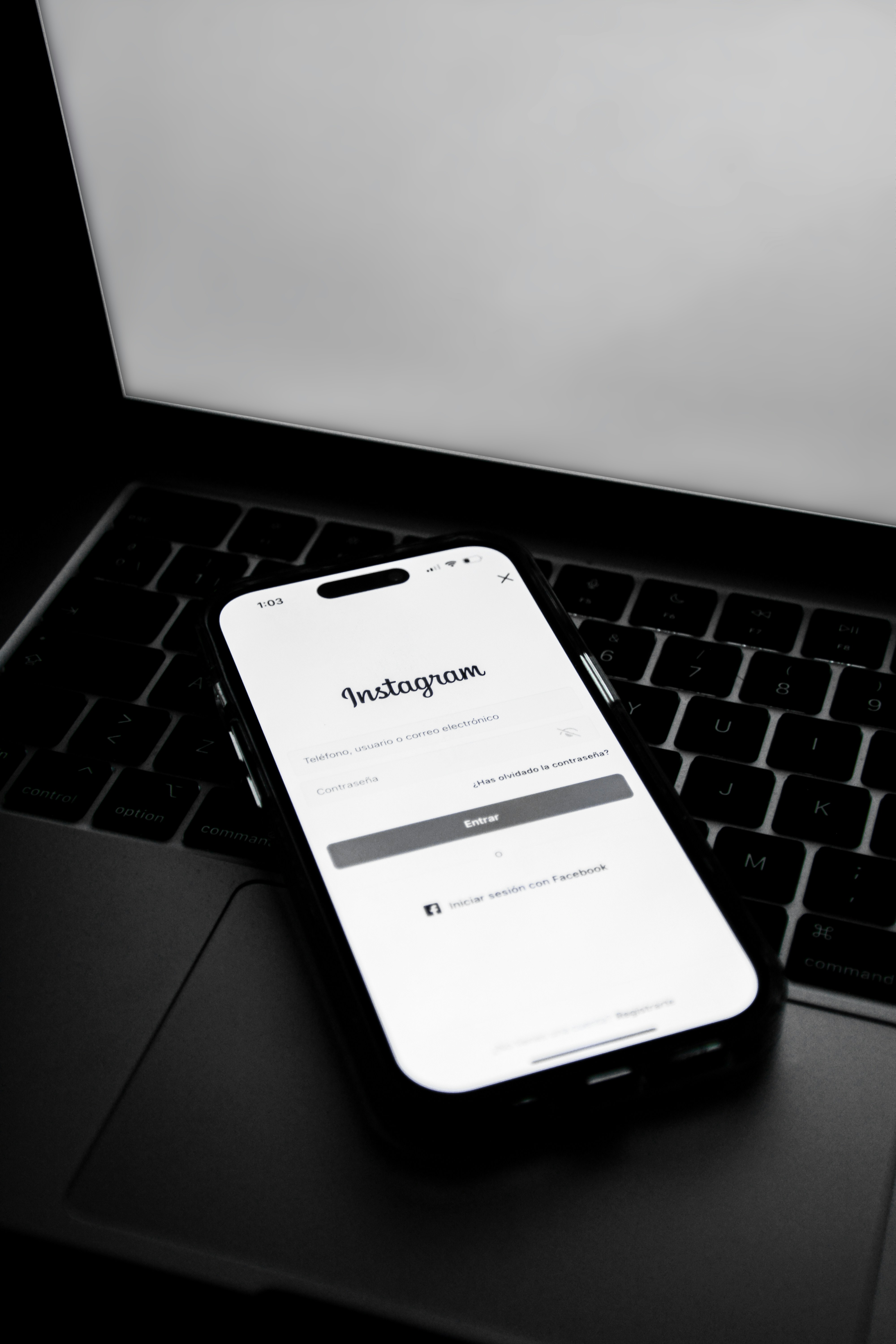 aidin geranrekab miiuzumrncu unsplash